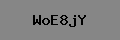 Captcha Verification