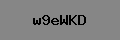 Captcha Verification