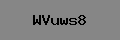 Captcha Verification