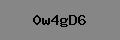 Captcha Verification