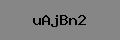 Captcha Verification