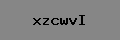 Captcha Verification
