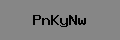 Captcha Verification