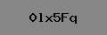 Captcha Verification