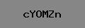 Captcha Verification