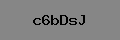 Captcha Verification