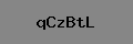 Captcha Verification