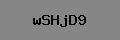 Captcha Verification