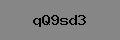 Captcha Verification