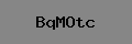 Captcha Verification