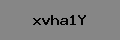 Captcha Verification