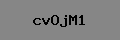Captcha Verification