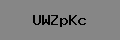 Captcha Verification
