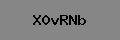 Captcha Verification