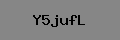 Captcha Verification