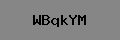 Captcha Verification