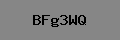 Captcha Verification