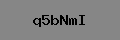 Captcha Verification