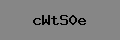 Captcha Verification