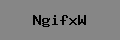 Captcha Verification
