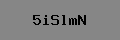 Captcha Verification