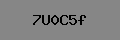 Captcha Verification