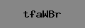 Captcha Verification