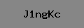 Captcha Verification