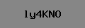 Captcha Verification