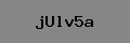 Captcha Verification
