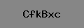 Captcha Verification