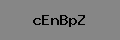 Captcha Verification