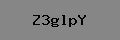 Captcha Verification