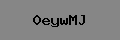 Captcha Verification