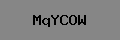 Captcha Verification