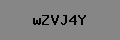Captcha Verification