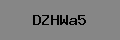 Captcha Verification