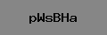 Captcha Verification