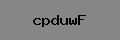 Captcha Verification