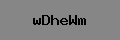 Captcha Verification
