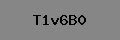 Captcha Verification