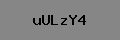 Captcha Verification