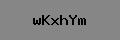 Captcha Verification