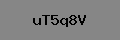 Captcha Verification