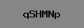 Captcha Verification