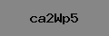 Captcha Verification