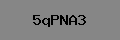 Captcha Verification