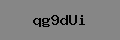 Captcha Verification