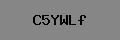 Captcha Verification